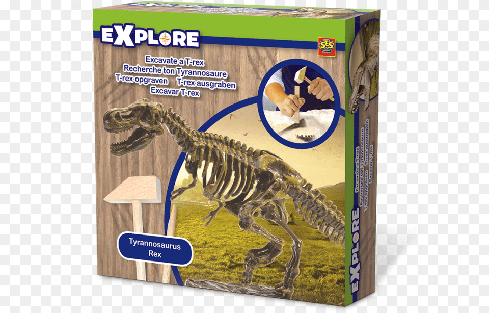 Ses Explore T Rex Ausgraben Lernspiele, Animal, Dinosaur, Reptile, T-rex Png