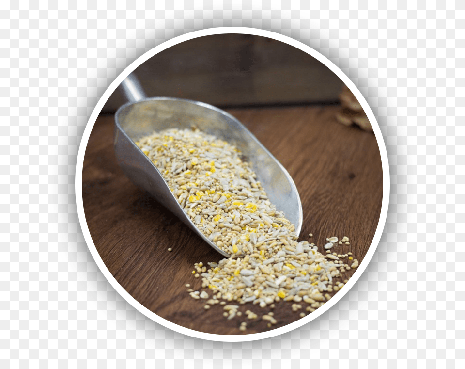 Sesame, Breakfast, Food, Produce Png Image