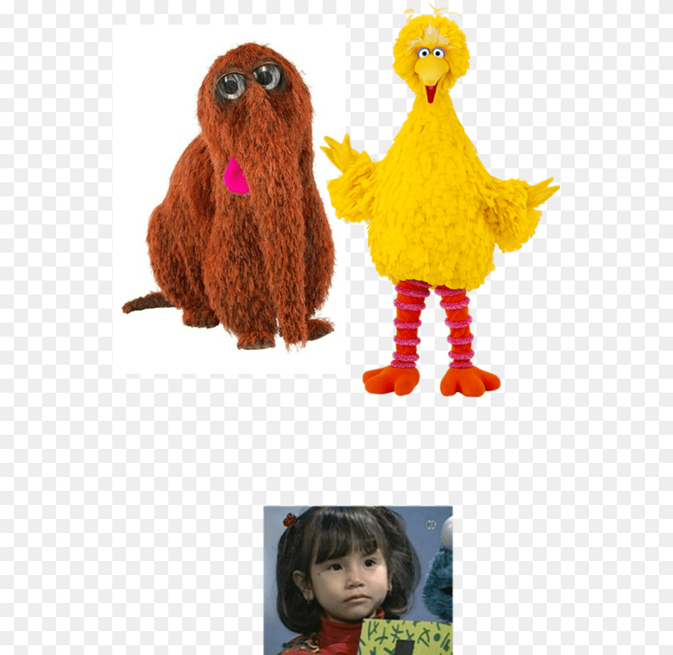 Sesame Street Big Bird, Person, Child, Girl, Female Free Transparent Png