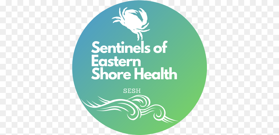 Sesh Shilin District, Logo, Disk Png