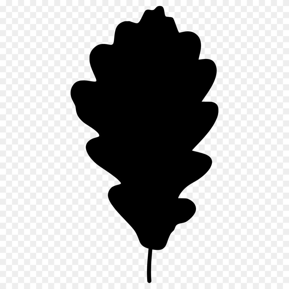 Sessile Oak Leaf Silhouette, Plant, Stencil Png Image