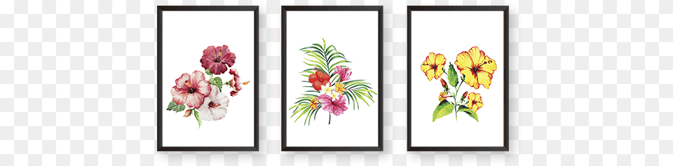Set Of 3 Frames Bouquet, Pattern, Art, Plant, Floral Design Free Transparent Png
