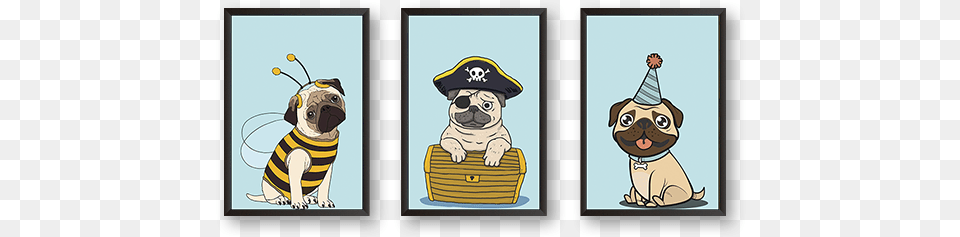 Set Of 3 Frames Pug, Person, Pirate, Baby, Animal Free Transparent Png