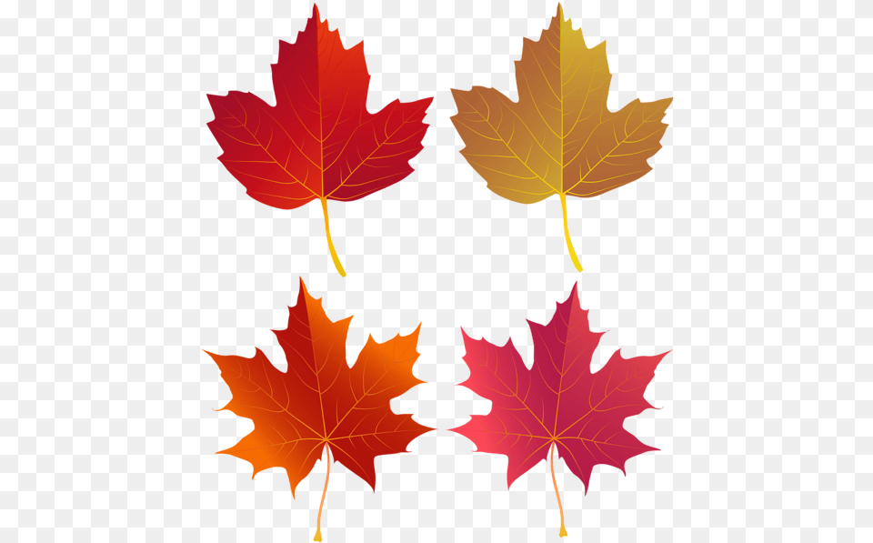 Set Of Autumn Leaves Clip Art Autumn, Leaf, Plant, Tree, Maple Leaf Png Image