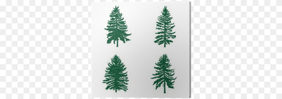 Set Of Different Silhouettes Of Green Pine Trees Vector Conifer Tree Silhouette, Fir, Plant Free Png Download