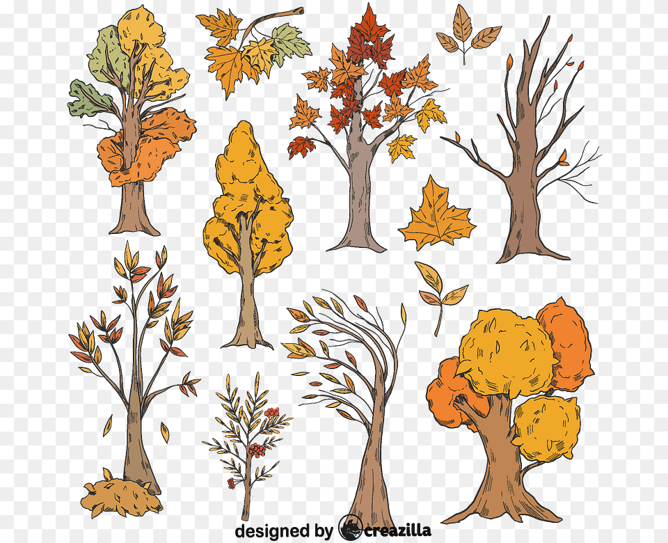 Set Of Fall Trees Vector Clip Art, Leaf, Tree, Plant, Graphics Free Transparent Png