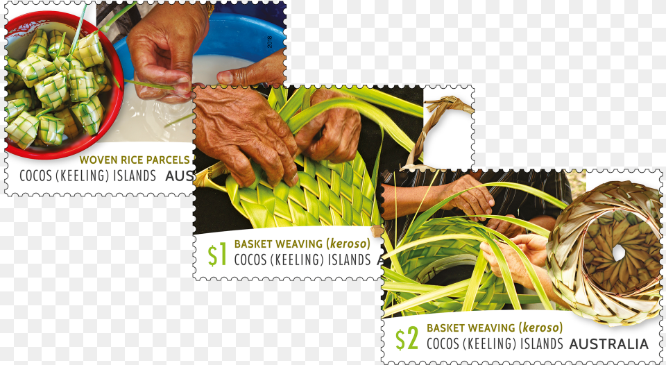 Set Of Stamps Natural Foods, Herbal, Plant, Herbs, Person Png