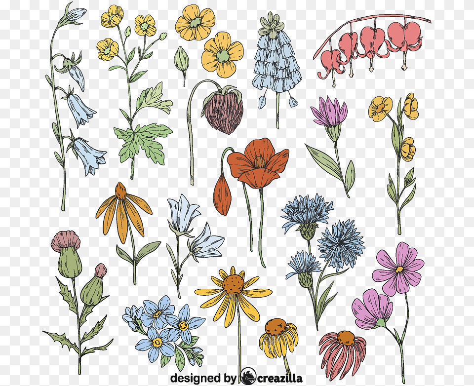 Set Of Wild Flower Vector African Daisy, Embroidery, Pattern, Art, Plant Png Image