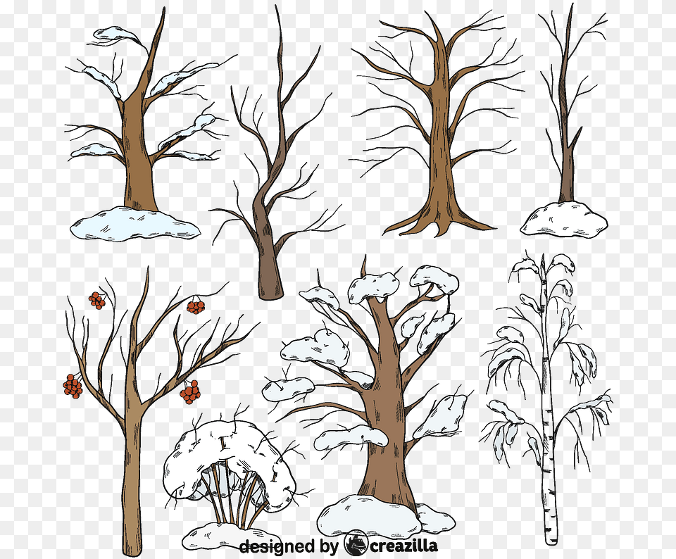 Set Of Winter Trees Vector Creative Arts, Art, Painting, Drawing, Plant Free Png Download