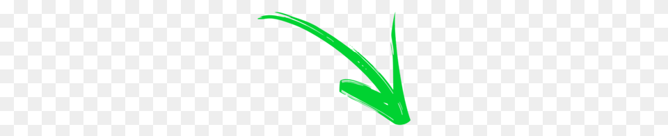 Seta Image, Aloe, Blade, Plant, Razor Free Transparent Png