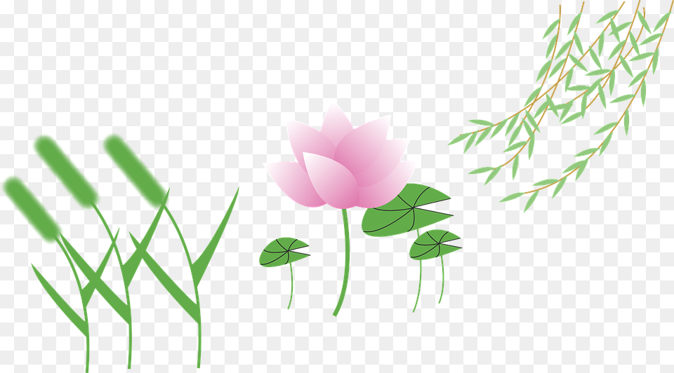 Setaria Cartoon, Flower, Green, Leaf, Plant Png