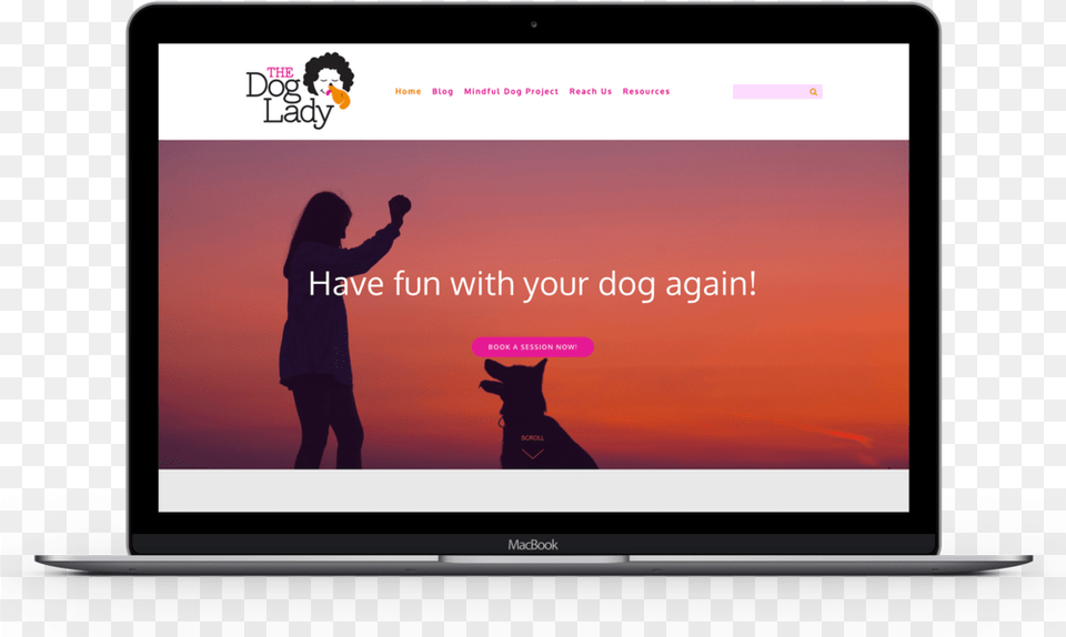 Seth Barham The Dog Lady Website Design, Screen, Computer, Computer Hardware, Monitor Png