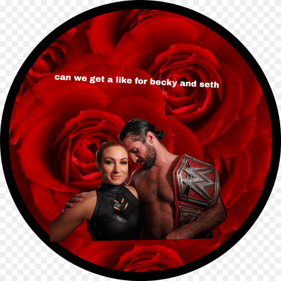 Seth Rollins And Becky Lynch, Rose, Flower, Plant, Photography Free Png