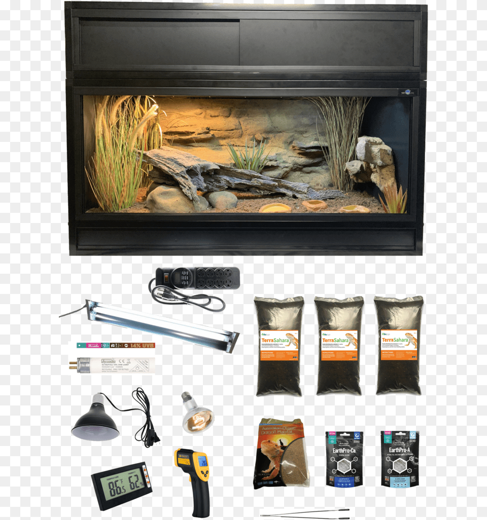Setup A Leopard Gecko Terrarium, Fireplace, Indoors, Plant, Person Png Image