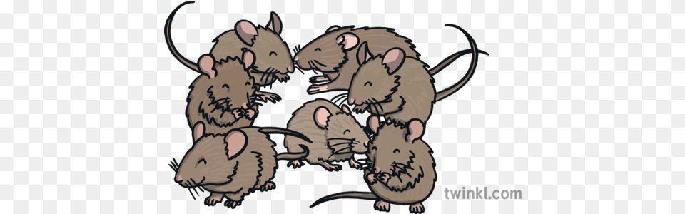 Seven Mice Illustration Rat, Animal, Mammal, Rodent Free Transparent Png