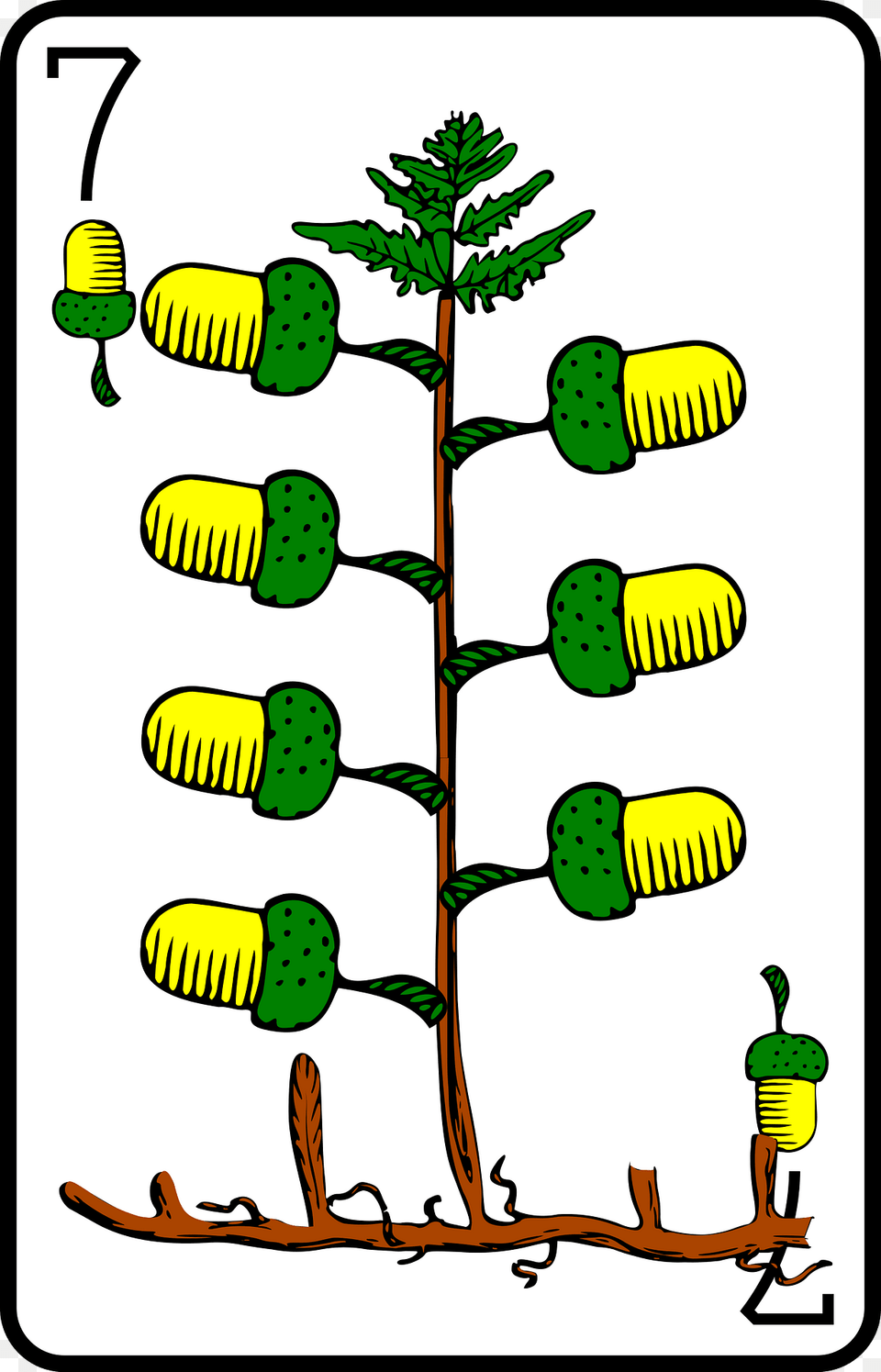 Seven Of Acorns Clipart, Herbal, Herbs, Plant, Boy Png
