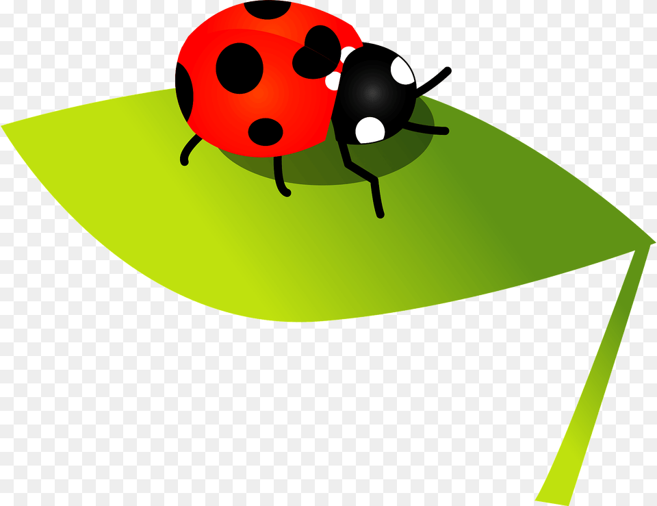 Seven Spot Ladybird Clipart, Leaf, Plant, Animal, Insect Free Png Download