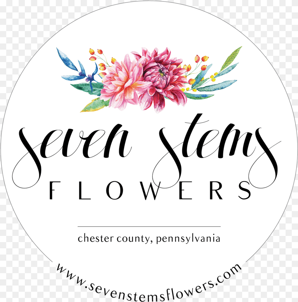 Seven Stems Flowers Flower Stem, Dahlia, Plant, Advertisement, Plate Free Png