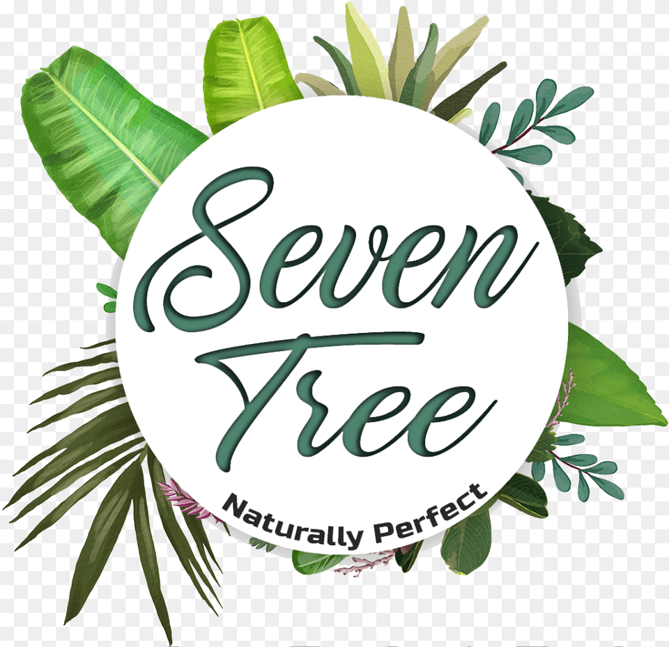 Seven Tree Illustration, Herbal, Herbs, Leaf, Plant Png Image