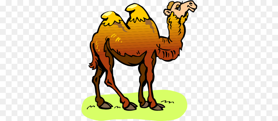 Seventeen Camels Adaptation Clipart, Animal, Camel, Mammal, Dinosaur Free Png Download