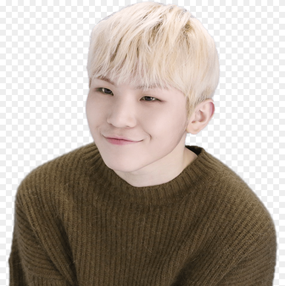 Seventeen Transparent, Blonde, Hair, Person, Boy Free Png Download