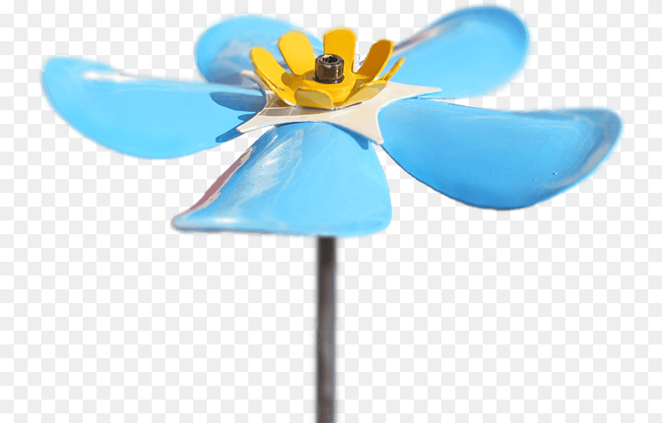 Severn Hospice Forget Me Not Flower Artificial Flower, Anemone, Plant Free Transparent Png