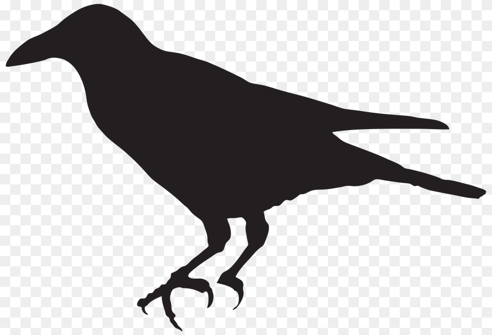 Sewing Crow Silhouette Art, Logo, Symbol, Cross Free Png
