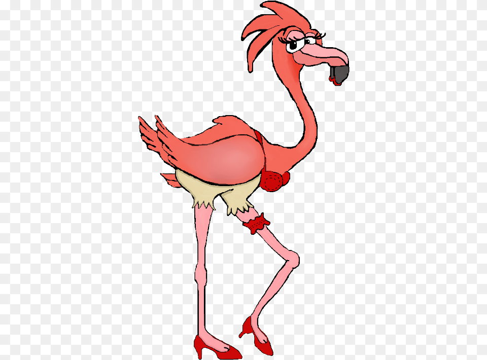 Sexy Flamingo Cartoon, Animal, Beak, Bird, Adult Free Png Download