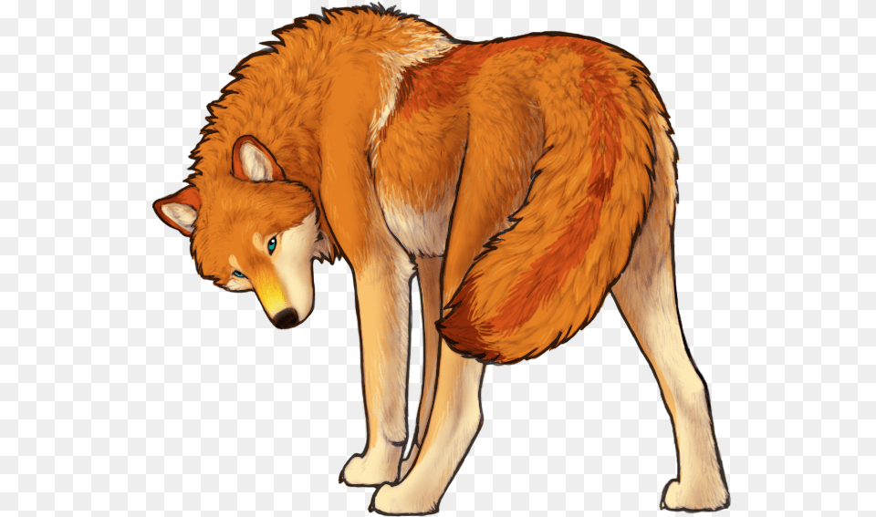 Sexy Kate Red Fox, Animal, Canine, Mammal, Red Wolf Free Png