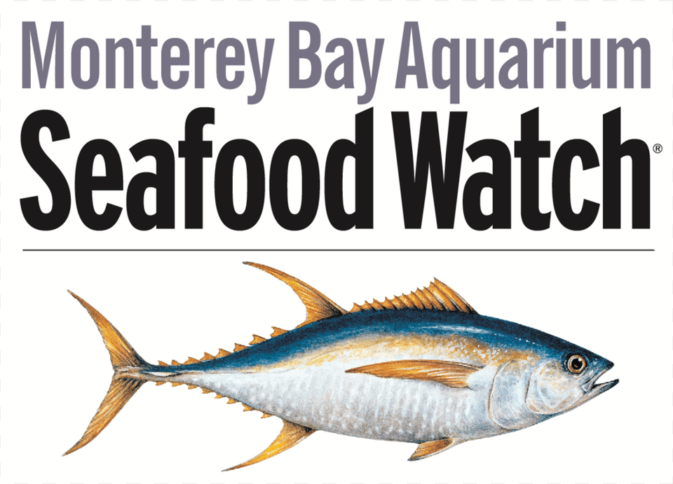 Sfw Type And Tuna 01 Copy Monterey Bay Seafood Watch Logo, Animal, Bonito, Fish, Sea Life Free Png Download