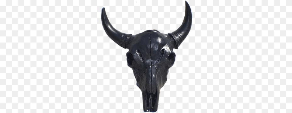 Sh Black Cow Skull Solid, Animal, Bull, Mammal, Person Free Png Download