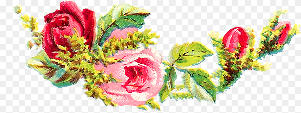 Shabby Chic Florals, Art, Plant, Pattern, Rose Png