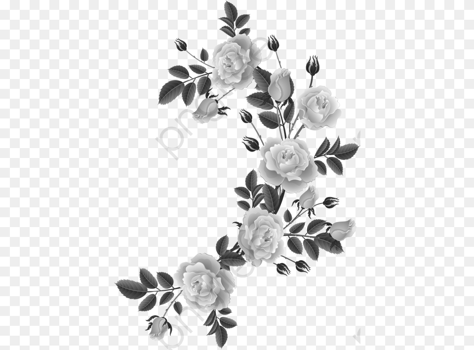 Shabby Chic Flowers, Flower, Petal, Plant, Rose Png Image
