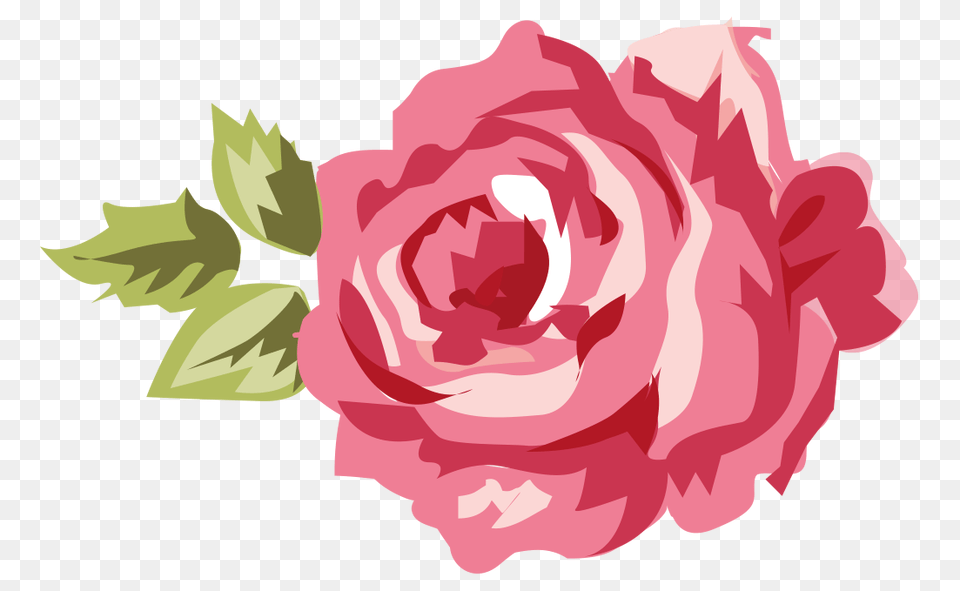 Shabby Chic Wallpaper Boarder, Flower, Plant, Rose, Carnation Png Image