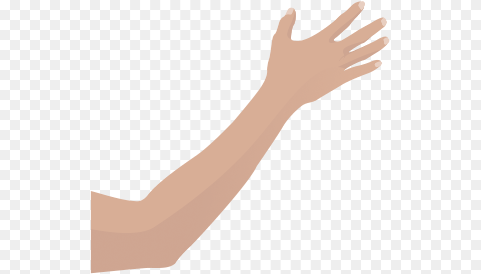 Shadow, Arm, Body Part, Person, Adult Free Transparent Png