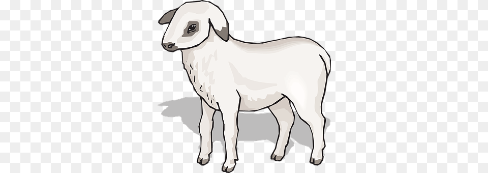 Shadow Livestock, Animal, Mammal, Person Png