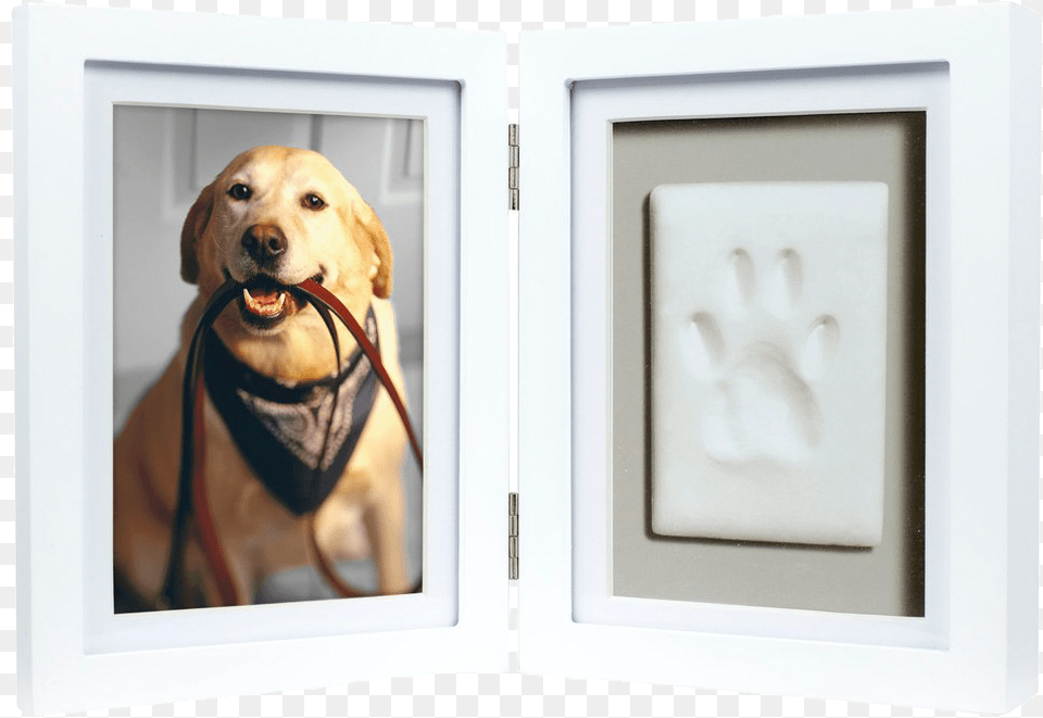 Shadow Box Pet Paw Print, Animal, Canine, Dog, Mammal Free Transparent Png