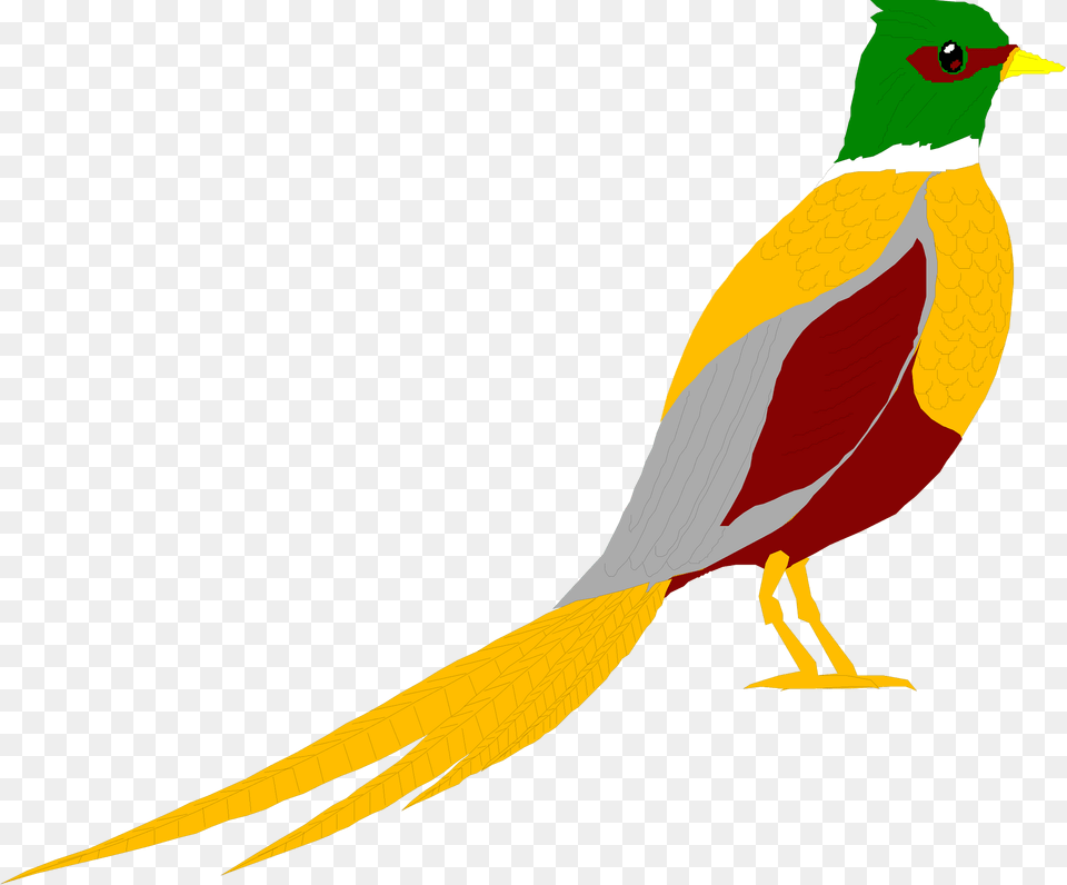 Shadow Clipart, Animal, Beak, Bird, Pheasant Png Image