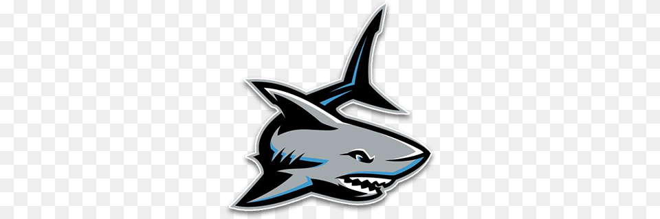 Shadow Creek Sharks Football, Animal, Fish, Sea Life, Shark Free Transparent Png