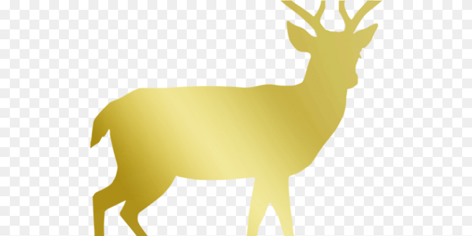 Shadow Of A Reindeer, Animal, Deer, Mammal, Wildlife Png Image