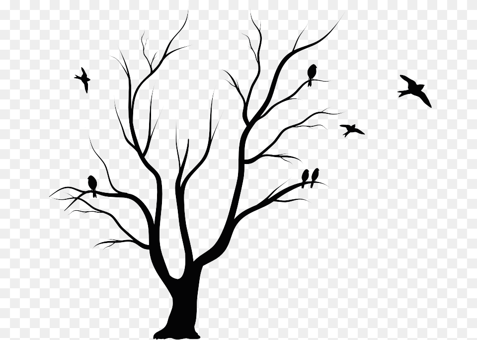 Shadow Of The Apple Tree Leaf Drawing Small Drawing Ideas Easy, Art, Stencil, Plant, Silhouette Png
