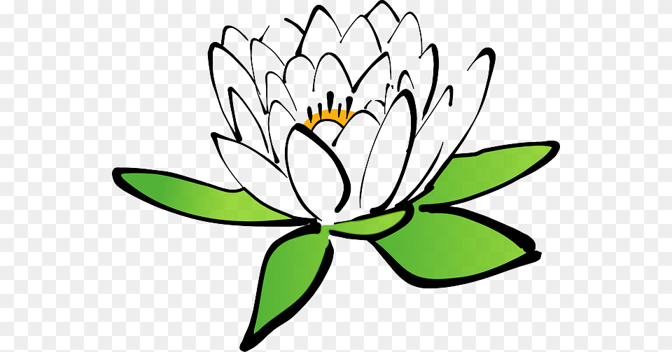 Shadrach Meshach And Abednego Daily Meditation, Flower, Plant, Lily, Daisy Png