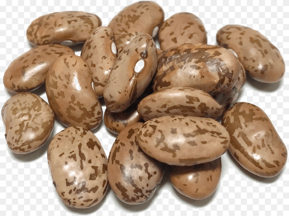 Shady Side Farm Dry Beans, Bean, Food, Plant, Produce Png