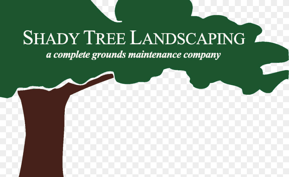 Shady Tree Bc Logo, Green, Plant, Leaf, Vegetation Png