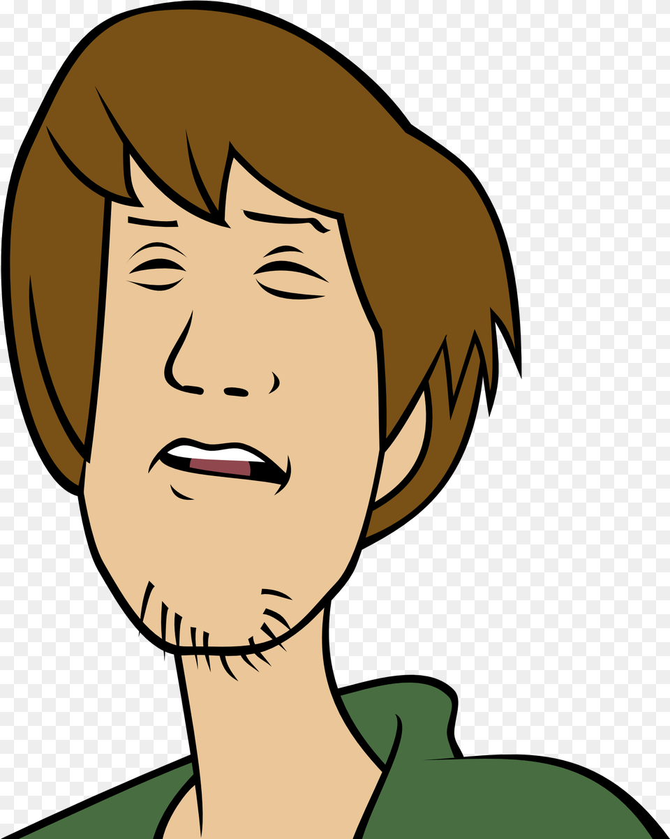 Shaggy Meme Face Transparent, Person, Head, Adult, Female Png Image