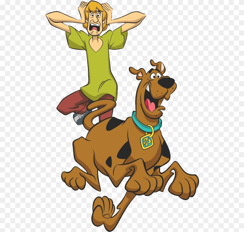 Shaggy Rogers Pic What39s Your Favorite Cartoon, Person, Face, Head Free Png