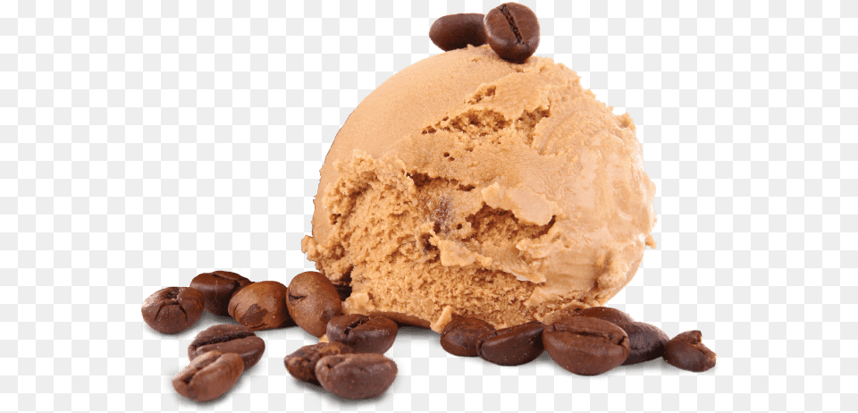 Shahi Anjeer Ice Cream, Dessert, Food, Ice Cream Png Image