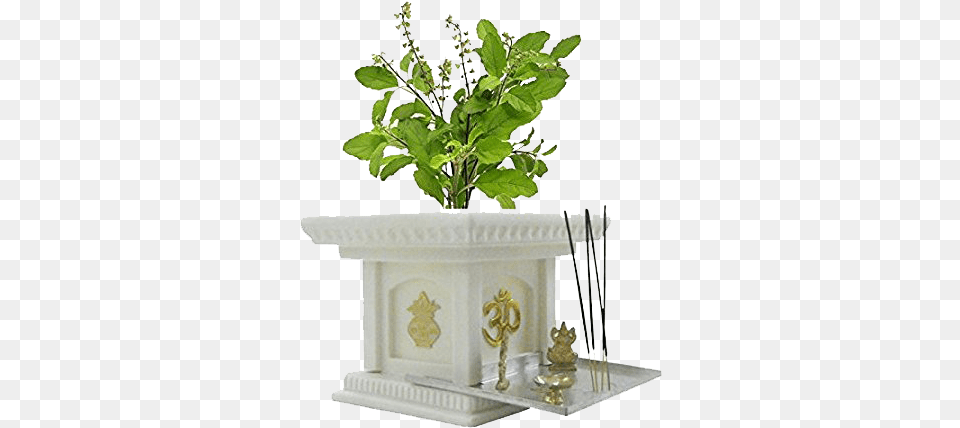 Shaligram Vivah Tulsi Vivah Ghat Vivah Tulsi Plant, Vase, Pottery, Potted Plant, Planter Png Image