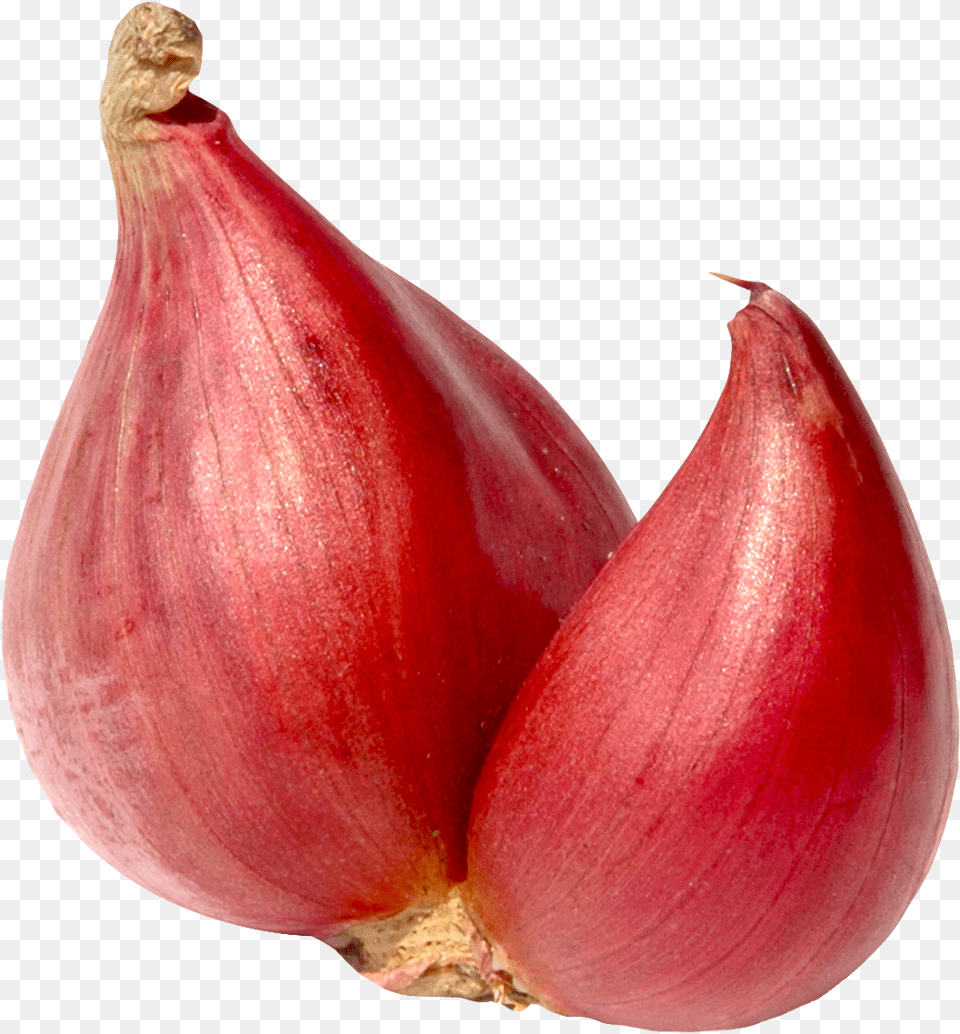 Shallot Onion, Food, Produce, Plant, Vegetable Free Transparent Png