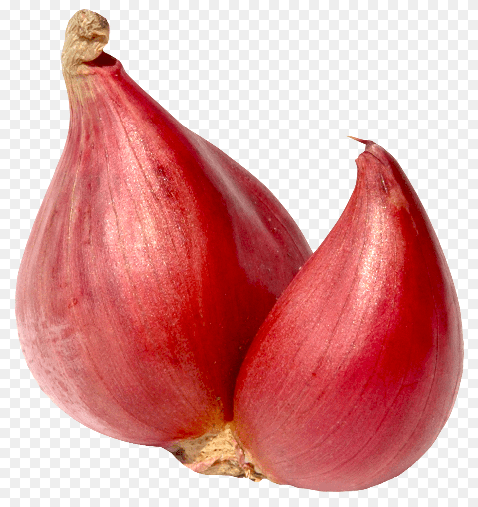 Shallot Onion Food, Produce, Plant, Vegetable Png Image